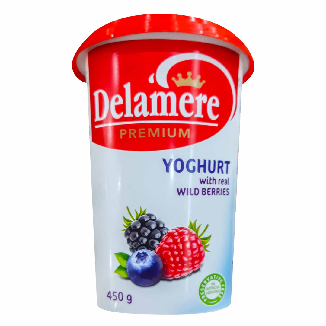 DELAMERE WILD BERRIES CUP 450ML